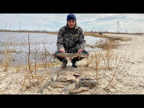 Видео: СИЛЬНЫЙ ВЕТЕР, НАПЛЕВАТЬ, ЯЗЬ НЕ БУДЕТ ДОЛГО ЖДАТЬ. РЫБАЛКА 2021.