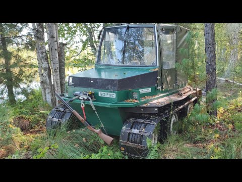 Видео: ПО КЛЮКВЕННЫМ БОЛОТАМ К ТАЕЖНЫМ ОЗЕРАМ