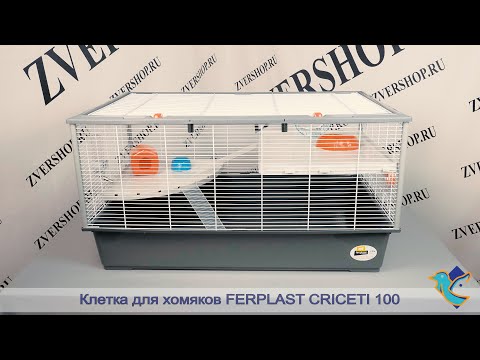 Видео: Клетка Ferplast для хомяков Criceti 100
