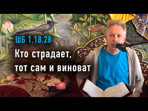 Видео: 2024-06-29 - ШБ 1.18.28 - Кто страдает, тот сам и виноват