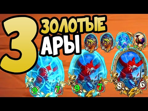 Видео: 3 ЗОЛОТЫЕ АРЫ - ЗВЕРИ, НО НЕ ЖУКИ Hearthstone Battlegrounds Поля Сражений