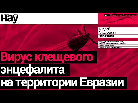 Видео: «‎Вирус клещевого энцефалита на территории Евразии». Спикер: Андрей Андреевич Девяткин
