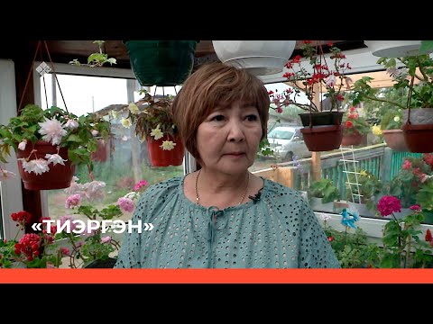 Видео: «Тиэргэн» биэриигэ: Елизавета Степановаҕа ыалдьыттаатыбыт (24.08.23)