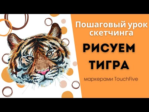 Видео: Урок рисования/ Скетчинг для начинающих/ Как нарисовать тигра