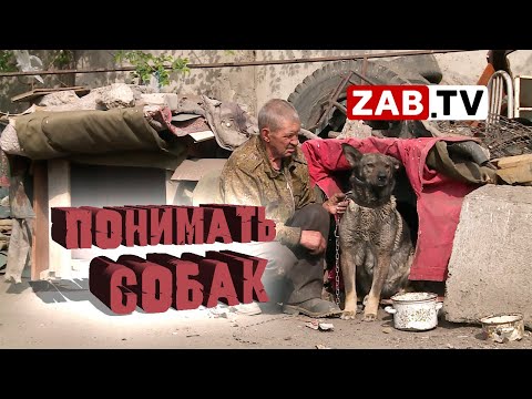 Видео: Их профессия – отлов животных