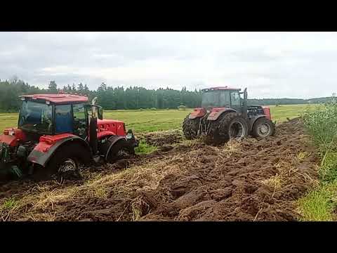Видео: МТЗ 3022.в вытягивает два МТЗ 3022дц1 и МТЗ 3022с плугами