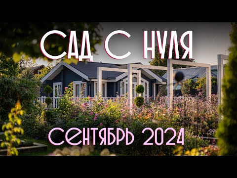 Видео: Сентябрь 2024. Обзор проекта САД С НУЛЯ