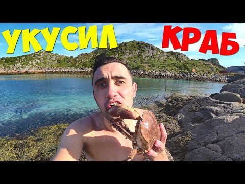 Видео: Подводная охота на гигантских крабов в Норвегии. Жареные крабы на гриле.