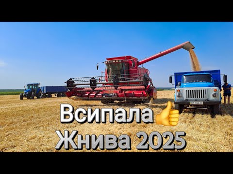 Видео: Зібрали врожай а не гектари. Я спокійний. 