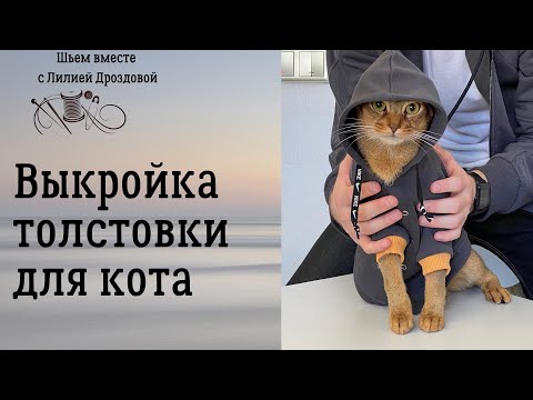 Видео: Выкройка толстовки для кота