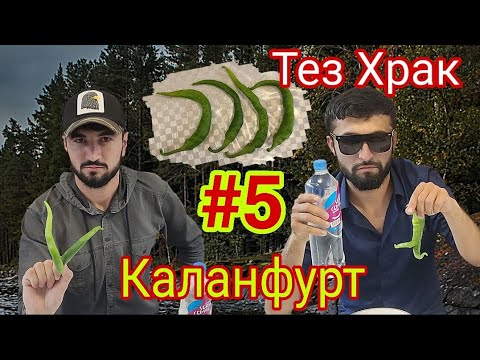 Видео: Жостки :Тез Храк #5 Каланфурт🌶️🌶️🌶️ Хурак 😆Ана ак тамошо кнен Самандар кариб Бмбра