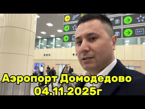 Видео: Аэропорт Домодедово 04.11.2025г