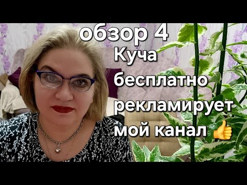 Видео: Куча бесплатно рекламирует мой канал 👍❗️