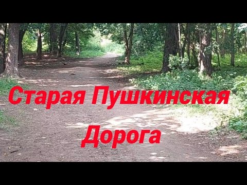 Видео: Старая Пушкинская дорога