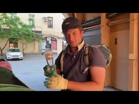 Видео: Первые находки в Санкт-Петербурге после возвращения с Дальнего Востока.