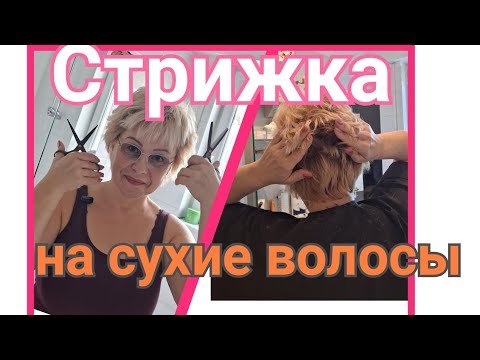 Видео: Стричь сухие волосы не сложно 💇‍♀️ Пришло время коррекции👌