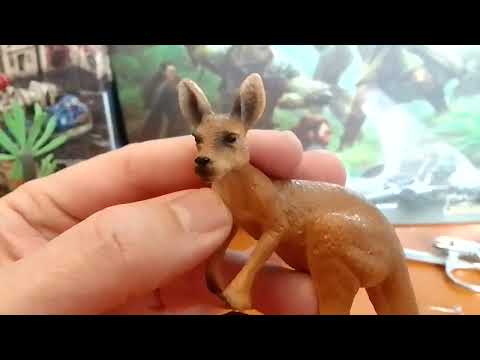 Видео: Attivio Кенгуру