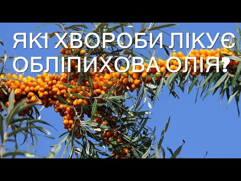 Видео: Які хвороби лікує обліпихова олія?