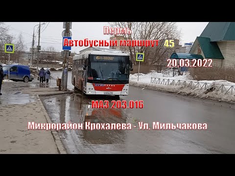 Видео: Пермь | Автобусный маршрут 45 | МАЗ 203.016 | Микрорайон Крохалева - Ул. Мильчакова | 20.03.2022.