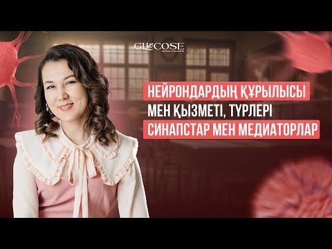Видео: Нейрондардың құрылысы мен қызметі, түрлері. Синапстар мен медиаторлар
