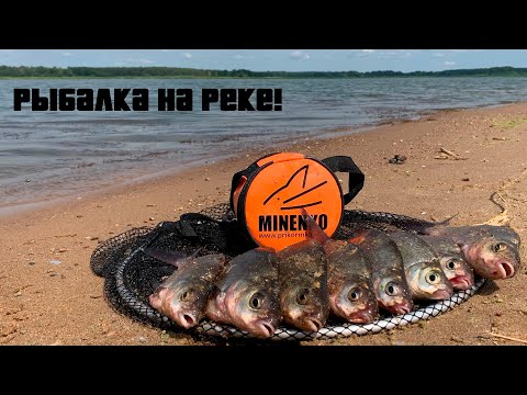 Видео: Рыбалка на реке Шоша, Волга! Готовим вкусный завтрак с красивым видом ))