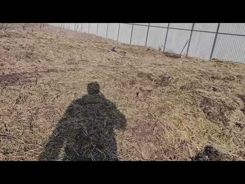 Видео: Пройзводство Био Гумуса. Калифорнийские черви