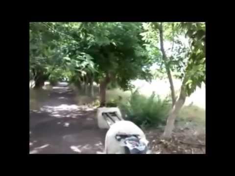 Видео: Прогулка по Шахану