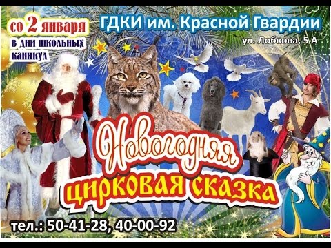 Видео: Уральский цирк. Новогодняя сказка