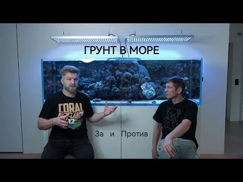 Видео: Грунт в морском аквариуме. За и против