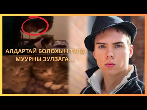 Видео: ОЛНЫ ТАНИЛ, АЛДАРТАЙ БОЛОХЫН ТУЛД ЮУ Ч ХАМААГҮЙ ХИЙДЭГ‼️🫣😬🤬