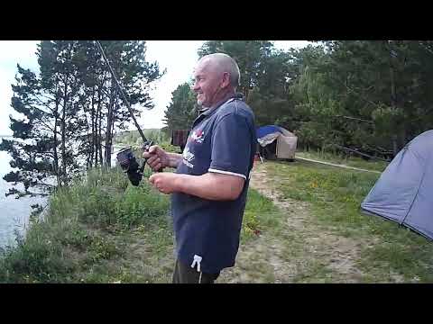 Видео: Обь,рыбалка,ждём сазанов 2023