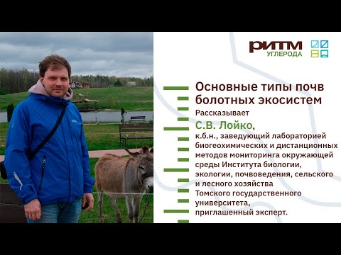 Видео: Лекция 4. Основные типы почв болотных экосистем. Лойко С.В.