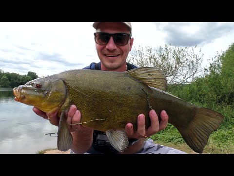 Видео: Рыбалка в Германии. Линь. Фидер. Общение.