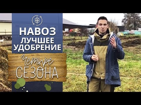 Видео: Навоз в сельском хозяйстве | Навоз: как правильно применять