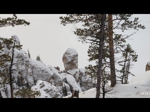 Видео: Дорога на Ленские столбы Якутия. 08.03.2025