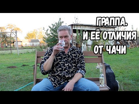 Видео: Граппа. И её отличия от чачи