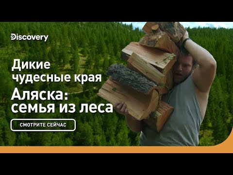 Видео: Дикие чудесные края | Аляска: семья из леса | Discovery