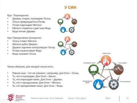 Видео: Второе занятие. У син