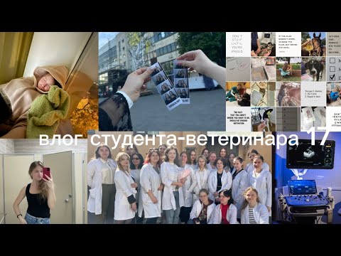 Видео: влог студента-ветеринара #17 (сессия)