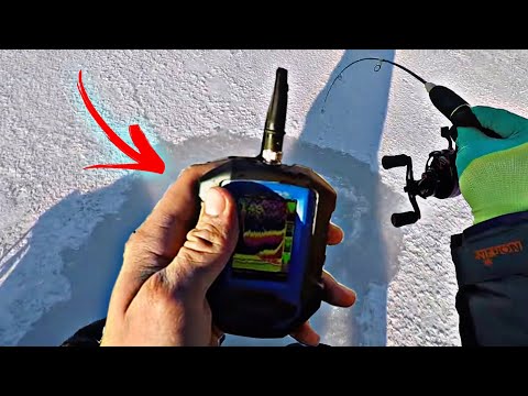 Видео: ПОСТАВИЛ ЭТУ ПРИМАНКУ и ПОНЕСЛОСЬ! Ловля Судака с эхолотом Практик 8/Первый лёд 2024