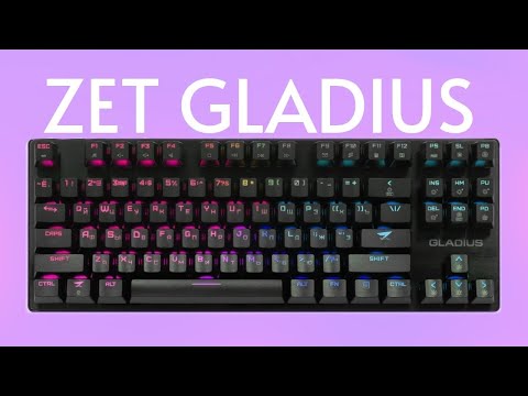 Видео: ЧЕСТНЫЙ ОБЗОР ZET GAMING GLADIUS