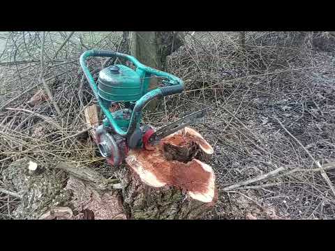 Видео: Дід знову в роботі бензопила Дружба 4 ріже ліс.