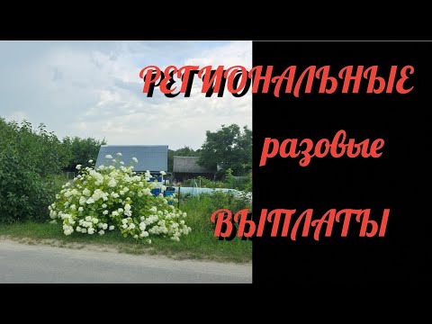 Видео: #30 РАСПРЕДЕЛЕНИЕ/ ВЫПЛАТЫ/ ВСЁ ПО ОДНОМУ МЕСТУ/ сентябрь чек2