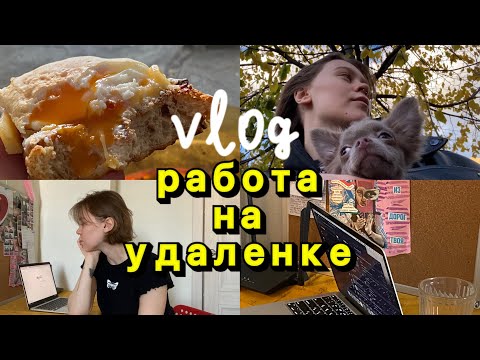 Видео: 1. работа на удаленке | вяжу чепчик | рецепты обеда | воспитание щенка | влог