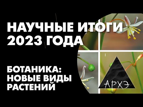 Видео: Алексей Серёгин: "Научные итоги 2023 года в ботанике: новые виды растений"