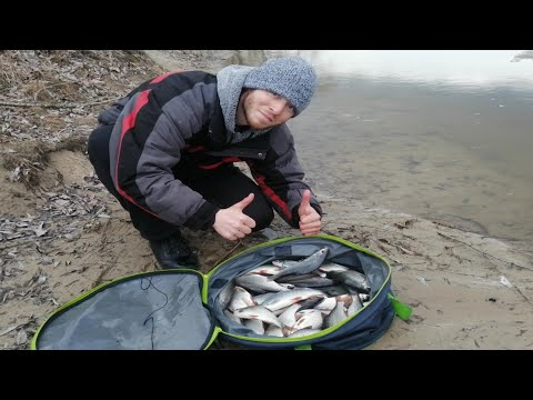 Видео: Лёд идёт, плотва клюёт! Фидер на Десне, в марте. Отличный клёв плотвы).