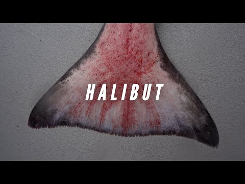 Видео: ЛОВЛЯ ПАЛТУСА — САМОЕ ЭПИЧЕСКОЕ ВИДЕО, КОТОРОЕ ВЫ КОГДА-ЛИБО УВИДИТЕ! #палтус #рыбалка