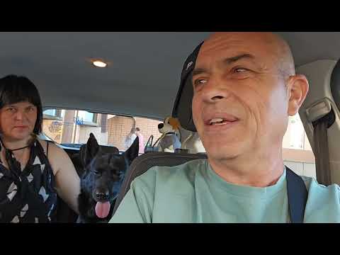 Видео: Светлана Уезжает В Италию ! Поехали К Ветеринару! Чарли Потерял Зрения !