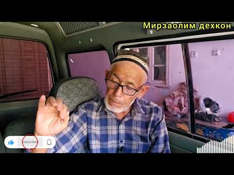 Видео: Бензин сарифи куп