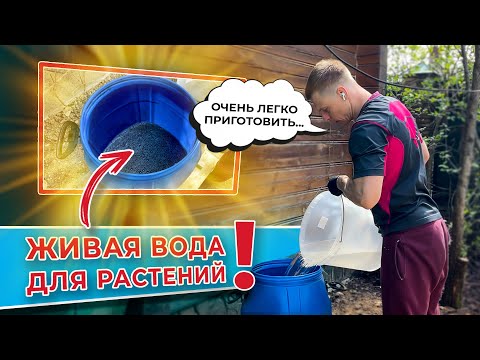 Видео: Живая вода для растений 💧. Очень легко приготовить!